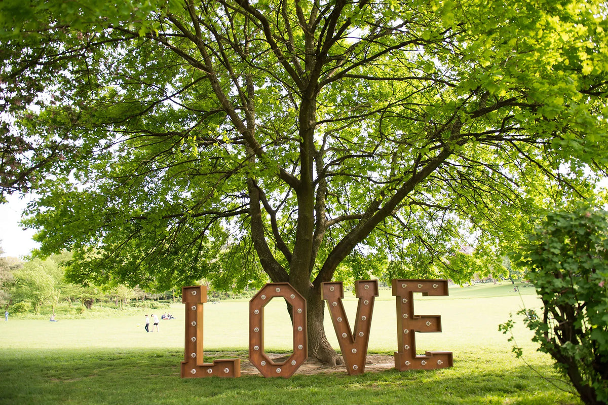 LOVE - LIGHT-UP WOODEN LETTER