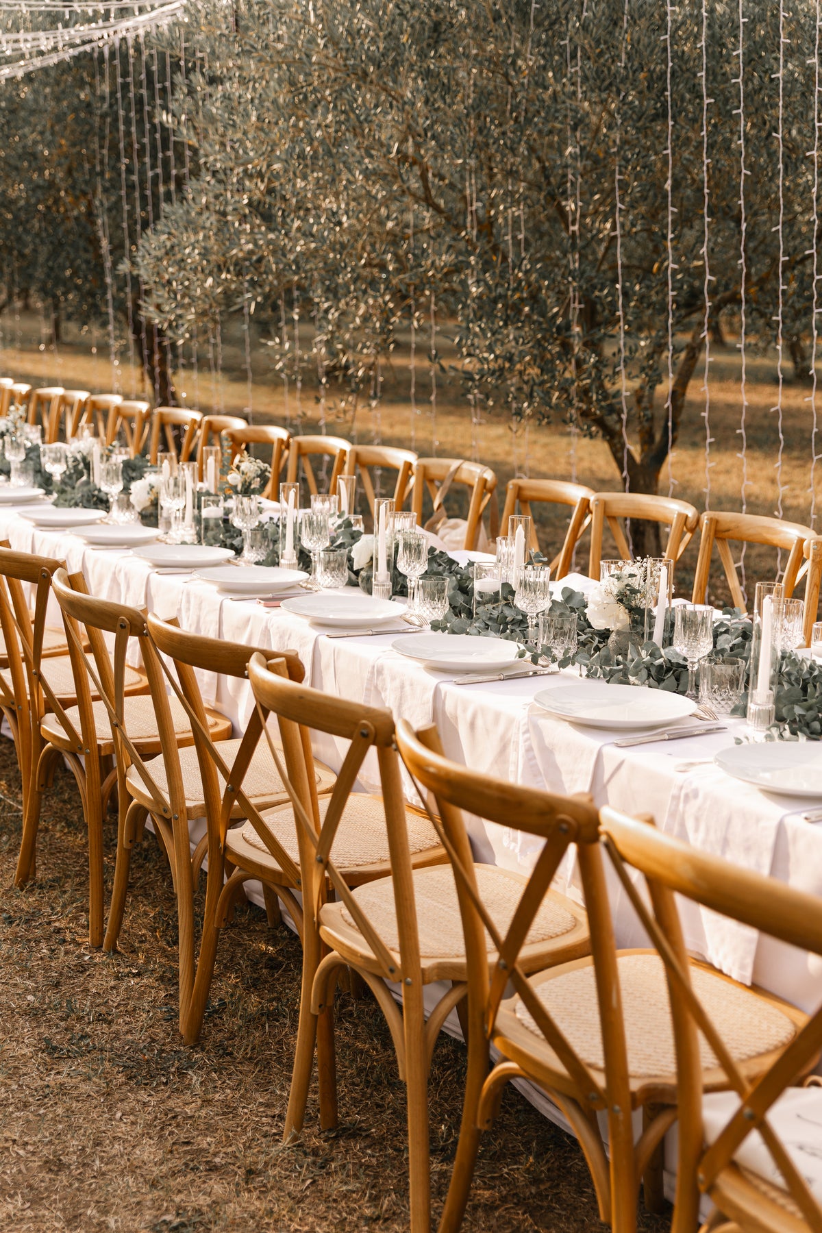 Table dressée dans les oliviers sous le couloir lumineux, Domaine de Valbonne