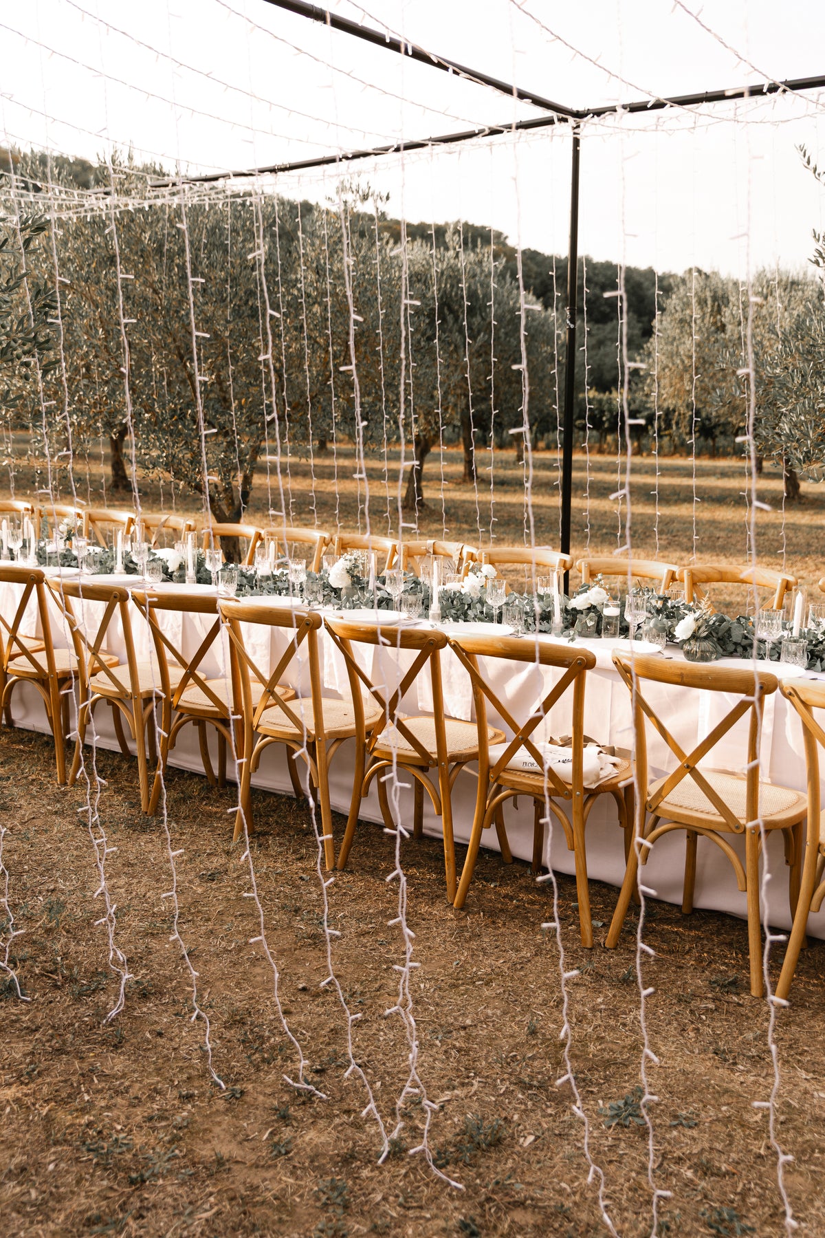 Table dressée dans les oliviers sous le couloir lumineux, Domaine de Valbonne