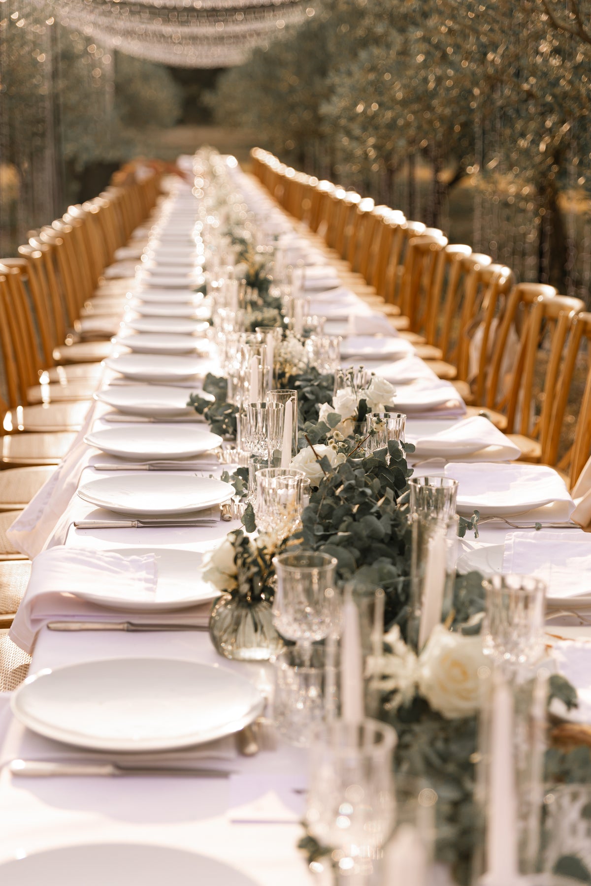 Table dressée dans les oliviers sous le couloir lumineux, Domaine de Valbonne