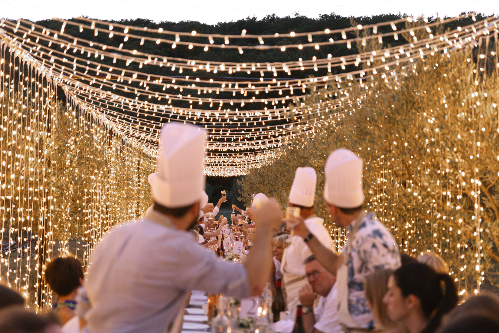 Dîner sous le couloir lumineux dans les oliviers, Domaine de Valbonne
