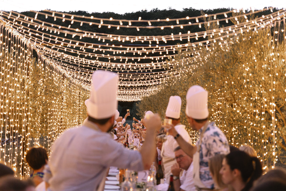 Dîner sous le couloir lumineux dans les oliviers, Domaine de Valbonne