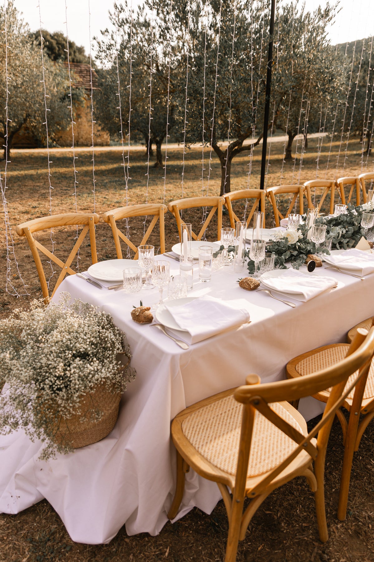 Table dressée dans les oliviers sous le couloir lumineux, Domaine de Valbonne