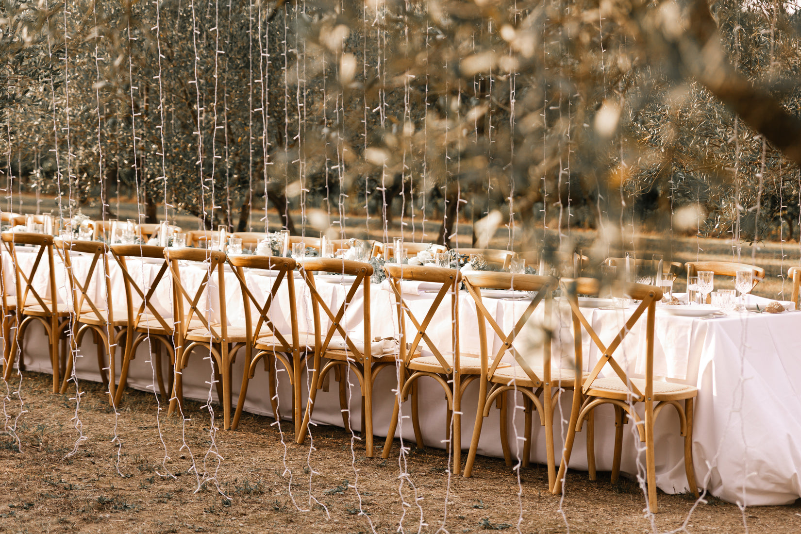 Table dressée dans les oliviers sous le couloir lumineux, Domaine de Valbonne