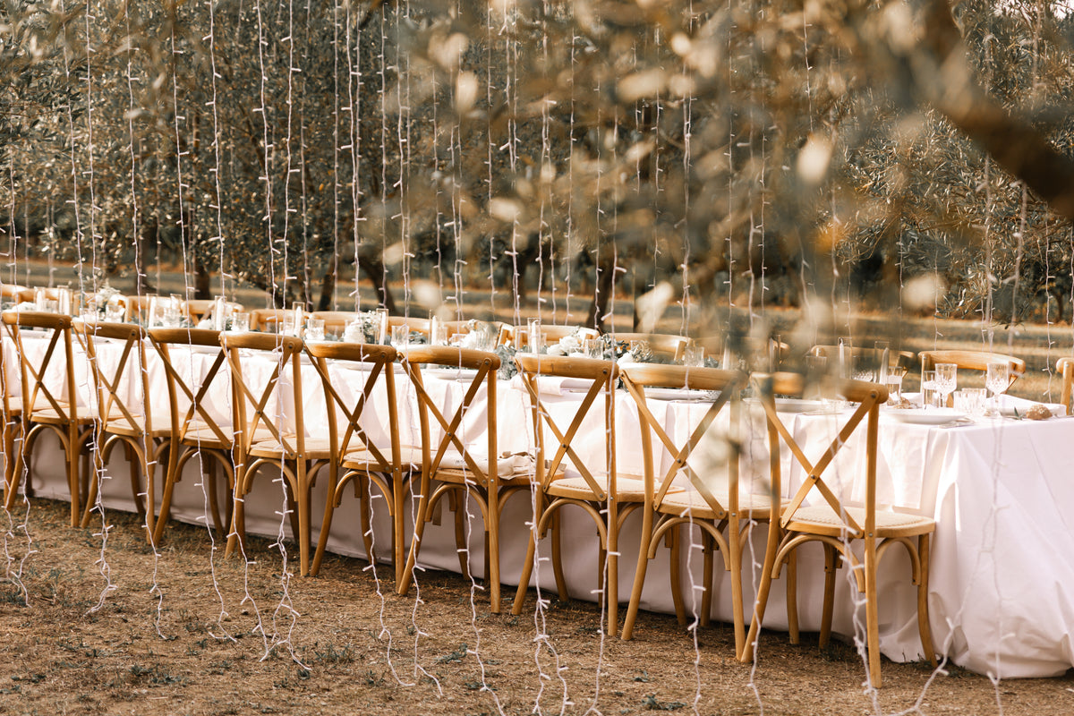 Table dressée dans les oliviers sous le couloir lumineux, Domaine de Valbonne