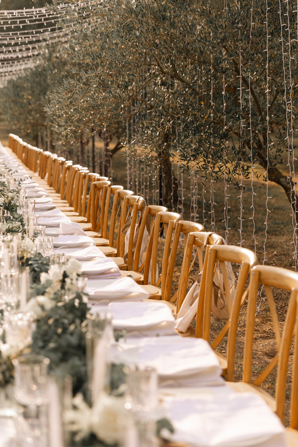 Table dressée dans les oliviers sous le couloir lumineux, Domaine de Valbonne