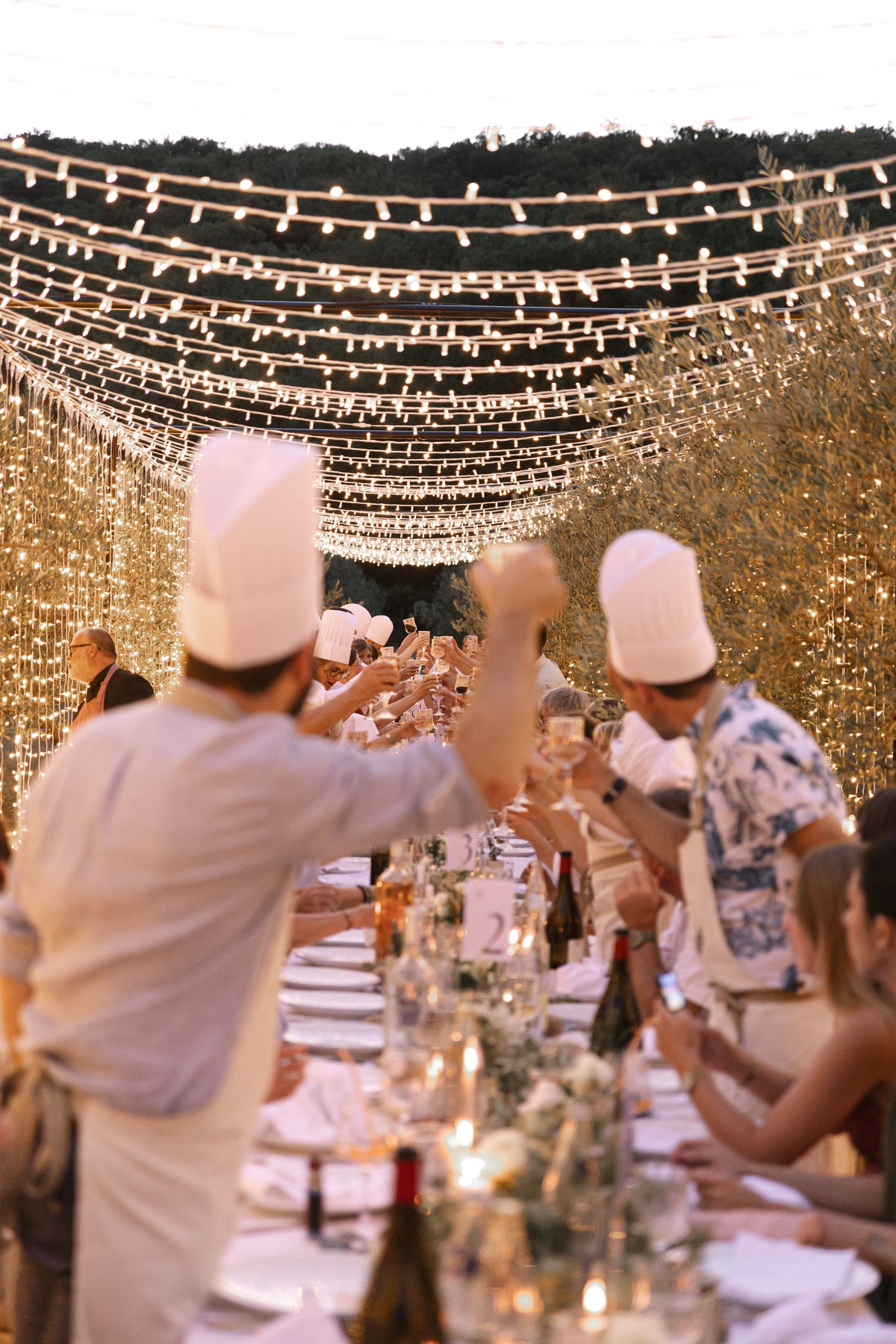 Dîner sous le couloir lumineux dans les oliviers, Domaine de Valbonne
