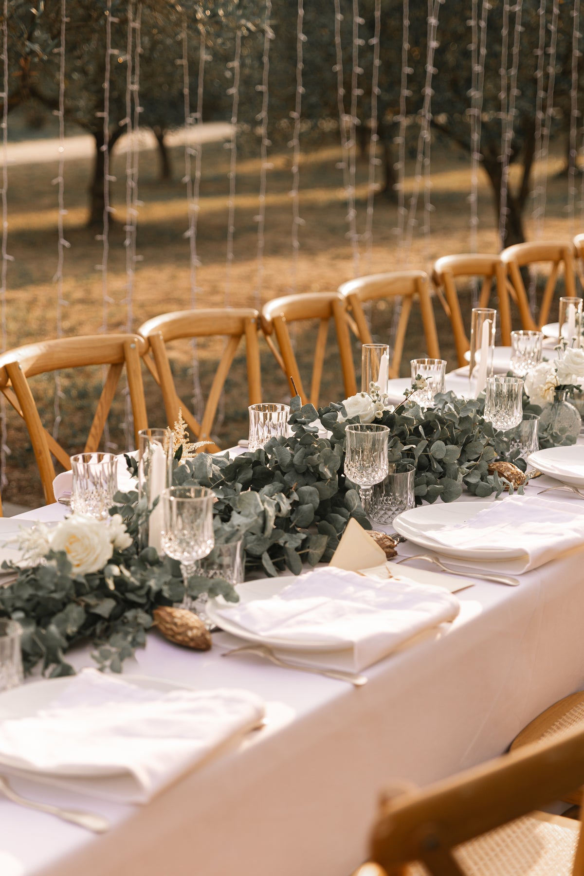 Table dressée dans les oliviers sous le couloir lumineux, Domaine de Valbonne