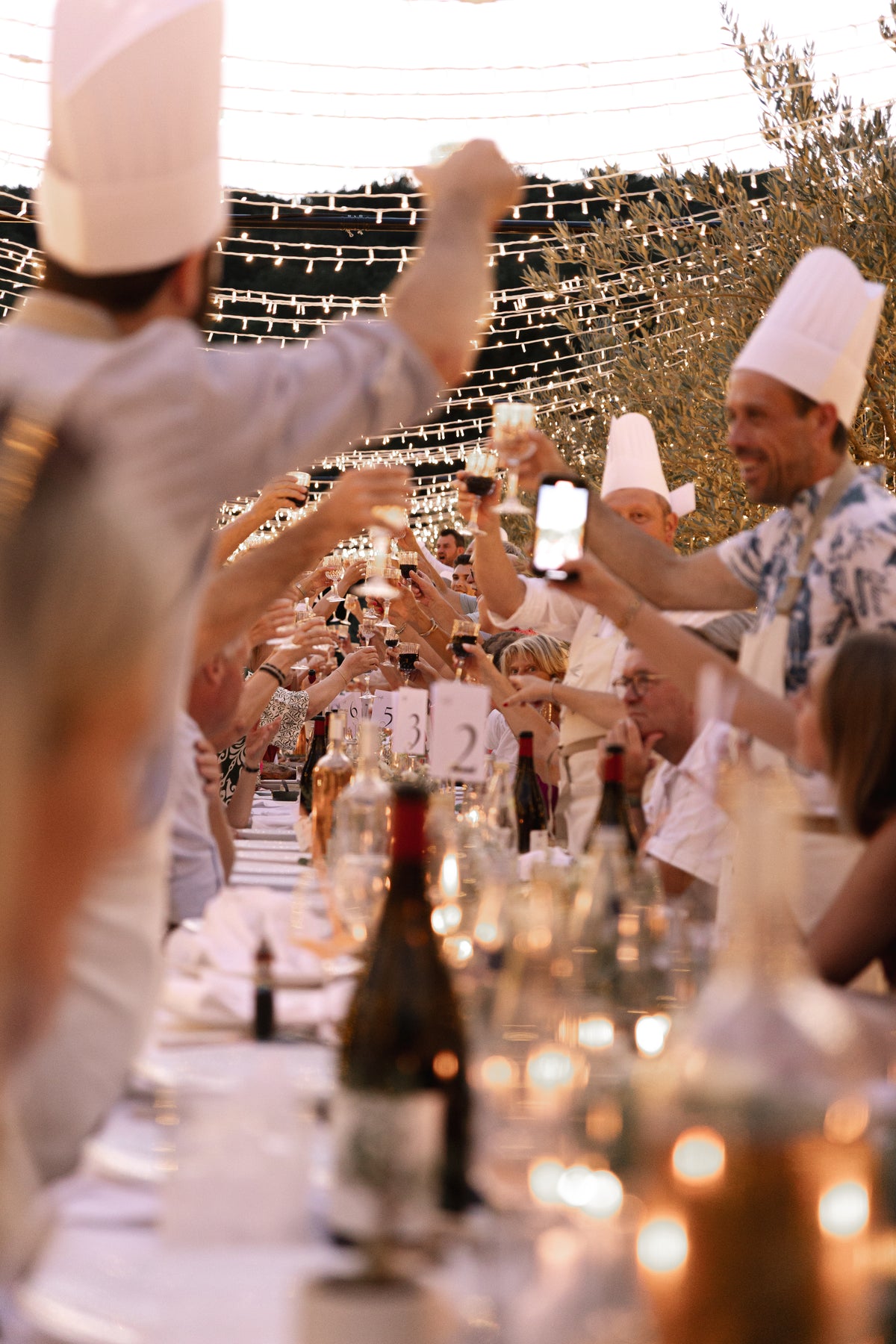 Dîner sous le couloir lumineux dans les oliviers, Domaine de Valbonne